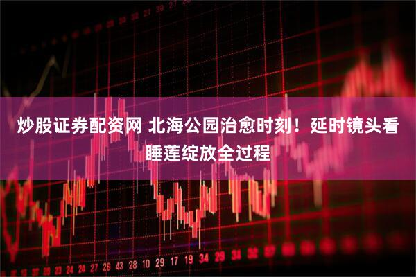 炒股证券配资网 北海公园治愈时刻！延时镜头看睡莲绽放全过程